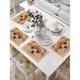 Комплект салфеток для сервировки стола «Фото померанского шпица», прямоугольные, размер 32х46 см, 4 шт