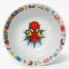 Набор посуды "Человек-паук", три предмета: кружка 250 мл , тарелка 18 см, салатник 350 мл - фото 9923256