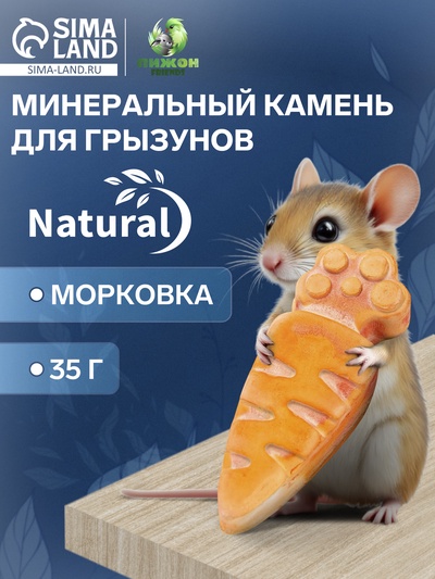 Минеральный камень «Пижон» для грызунов, морковка, 35 г