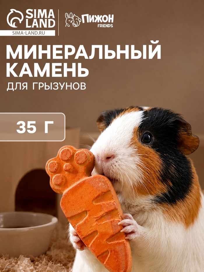 Минеральный камень для грызунов «Пижон», морковка, 35 г - Фото 1