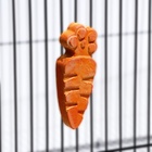 Минеральный камень «Пижон» для грызунов, морковка, 35 г - Фото 5