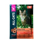 Влажный корм "ALL CATS" для кошек, тефтельки с говядиной в соусе, пауч, 85 г - Фото 1