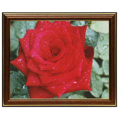 Картина «Роза», 20×25 (22×27) см