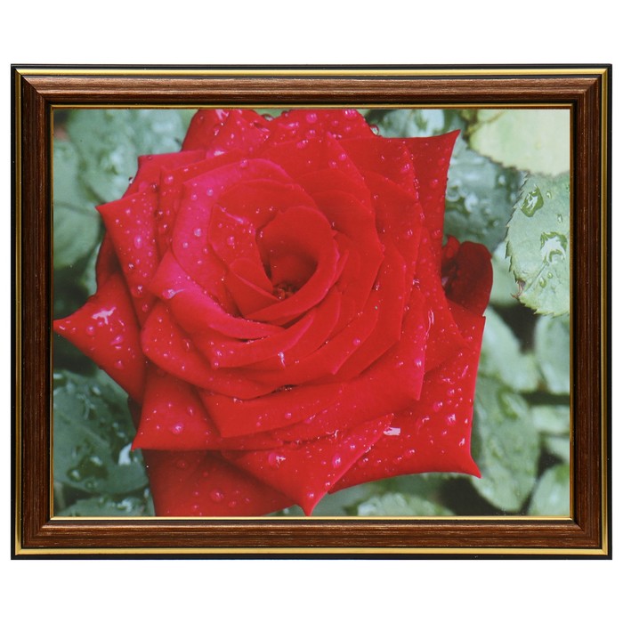 Картина «Роза», 20×25 (22×27) см - Фото 1
