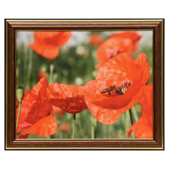 Картина «Маковое поле», 20×25 (22×27) см - Фото 1