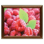 Картина "Малинка" 20х25 (23х28) см - фото 42619345