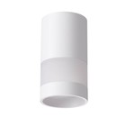 Светильник ELINA, 1x9Вт GU10, цвет белый, IP20 - фото 4088521