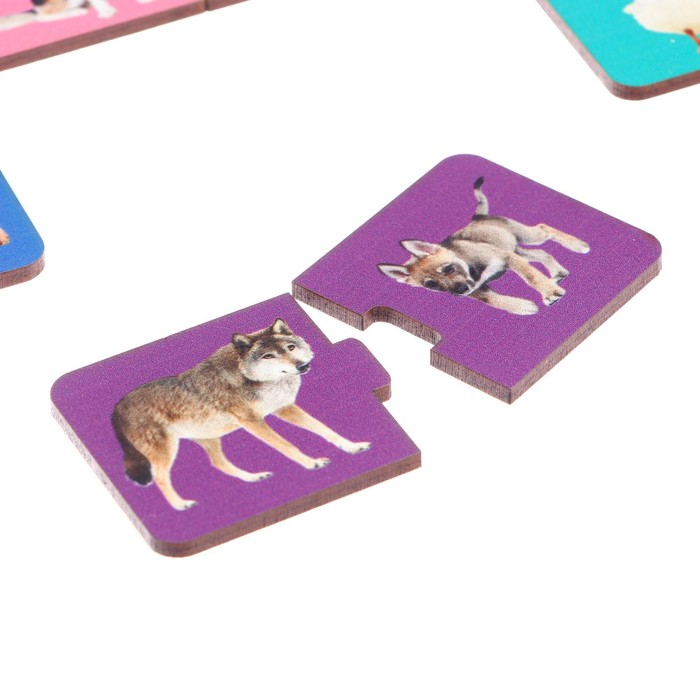 Обучающий набор «Где чей малыш?», парные пазлы + картонная книга 53345