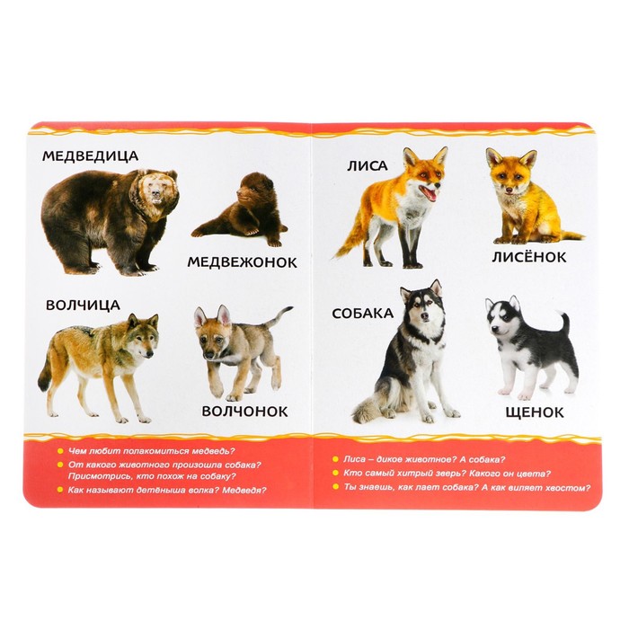 Обучающий набор «Где чей малыш?», парные пазлы + картонная книга 53345