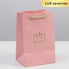 Пакет подарочный ламинированный, упаковка, «Present for you», 15 х 23 х 11,5 см - фото 318813694