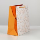 Пакет подарочный ламинированный, упаковка, «Бронза», 23 х 27 х 12 см - Фото 3