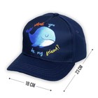 Кепка детская Whale, рр 54см - фото 804768782