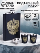 Подарочный набор 4 в 1: фляжка 240 мл, рюмка 30 мл, воронка, 2.5×3.5 см - Фото 1