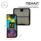 Пенал школьный, 1 секция, 9×19.5×2.5 см «Маска» - Фото 1
