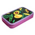 Пенал школьный, 2 секции, 12.5×20.5×4 см «Авокадо» - Фото 2