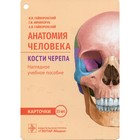 Анатомия человека. Кости черепа. Гайворонский И.В. - фото 295522432