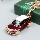 Брелок металл с карабином, эмаль, стразы "Красный кроссовер" 13х3 см - фото 119410829