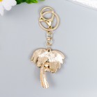 Брелок для ключей на кольце с карабином «Пальма с жемчугом», металл, 13×4.4 см - фото 60800614