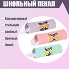 Пенал-тубус школьный на молнии, МИКС - Фото 1