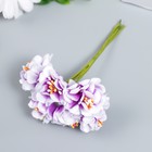 Цветы для декорирования "Пион Лоллипоп" 1 букет=6 цветов бело-фиолетовый 9 см - Фото 2