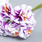 Цветы для декорирования "Пион Лоллипоп" 1 букет=6 цветов бело-фиолетовый 9 см - Фото 3