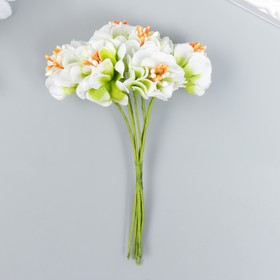 Цветы для декорирования "Пион Лоллипоп" 1 букет=6 цветов бело-зелёный 9 см