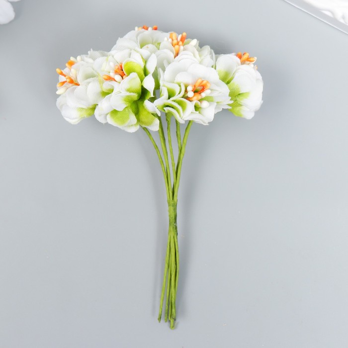 Цветы для декорирования "Пион Лоллипоп" 1 букет=6 цветов бело-зелёный 9 см - Фото 1