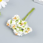 Цветы для декорирования "Пион Лоллипоп" 1 букет=6 цветов бело-зелёный 9 см - Фото 2