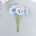 Цветы для декорирования "Пион Лоллипоп" 1 букет=6 цветов бело-голубой 9 см - фото 9635784