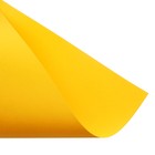 Картон цветной двусторонний Calligrata, А4, 10 листов, 10 цветов, тонированный в массе - Фото 4