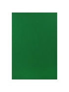 Картон цветной Calligrata, А4, 100 листов, 10 цветов, двусторонний, тонированный в массе - Фото 13