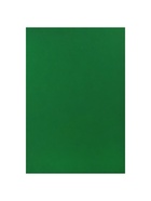 Картон цветной Calligrata, А4, 100 листов, 10 цветов, двусторонний, тонированный в массе - Фото 10