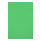 Картон цветной двусторонний А4, тонированный в массе, 10 листов, 180 г/м2, зелёный - Фото 1