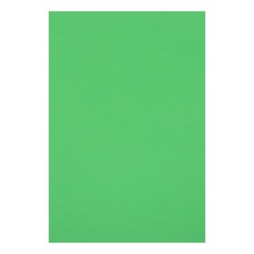 Картон цветной двусторонний А4, тонированный в массе, 10 листов, 180 г/м2, зелёный