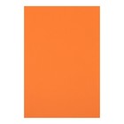 Картон цветной двусторонний А4, тонированный в массе, 10 листов, 180 г/м2, оранжевый - Фото 1