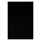 Картон цветной двусторонний А4, тонированный в массе, 10 листов, 180 г/м2, чёрный - Фото 2