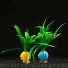 Растение искусственное аквариумное "Ракушка", 8 х 5 х 20 см - фото 2109240