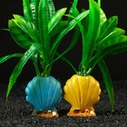 Декор для аквариума "Цветущая ракушка", 8 х 5 х 20 см - Фото 2