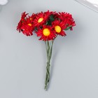 Цветы для декорирования "Ноготки" бордо 1 букет=10 цветов 7 см - фото 9635922