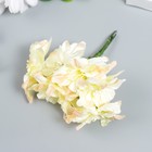 Цветы для декорирования "Садовая лилия" кремово-розовая 1 букет=6 цветов 10 см - Фото 2