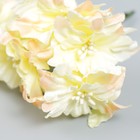 Цветы для декорирования "Садовая лилия" кремово-розовая 1 букет=6 цветов 10 см - Фото 3