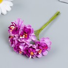 Цветы для декорирования "Азалия фиолетово-сиреневая" 1 букет=6 цветов 10 см - Фото 2