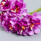Цветы для декорирования "Азалия фиолетово-сиреневая" 1 букет=6 цветов 10 см - Фото 3