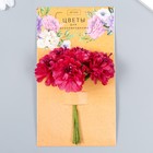 Цветы для декорирования "Пион садовый бордо" 1 букет=6 цветов 10 см - фото 320896137