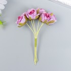 Цветы для декорирования "Роза Амадеус" фиолет 2 оттенка 1 букет=6 цветов 10 см - Фото 1