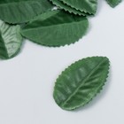 Декор для творчества "Листочек" набор 100 шт зелёный 4,5 см - фото 318815316