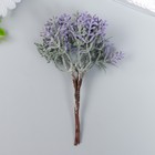 Искусственное растение для творчества "Котовник" 1 букет=6 веточек сиреневый 13 см - фото 9635974