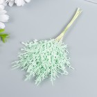 Искусственное растение для творчества "Можжевельник" 1 букет=10 веточек мятный 15 см 7445331