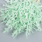 Искусственное растение для творчества "Можжевельник" 1 букет=10 веточек мятный 15 см 7445331