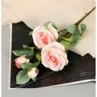 Цветы искусственные "Роза кустовая" 67 см, бледно-розовый - фото 3491243